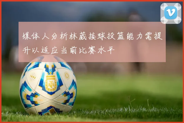 媒体人分析林葳接球投篮能力需提升以适应当前比赛水平
